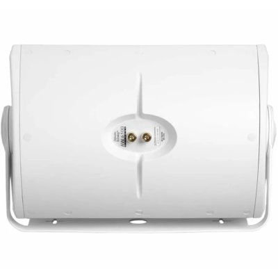 Definitive Technology AW 6500 Loudspeaker