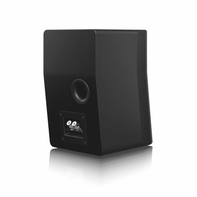 SVS Ultra Evolution Nano Speaker