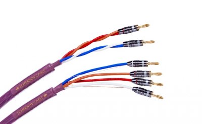 TCHERNOV CABLE CLASSIC BI-WIRE MKII SC Bn/Bn (1.65 M.)