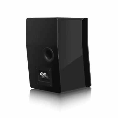 SVS Ultra Evolution Nano Speaker