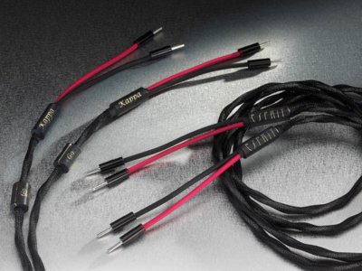 Esprit Audio Kappa Speaker Cable 3M