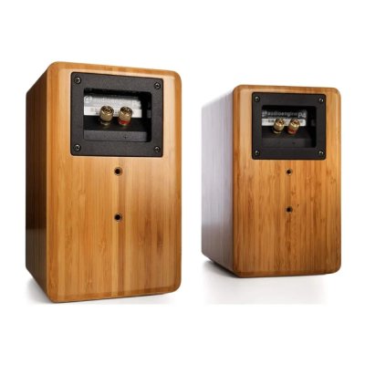 AUDIOENGINE P4 Passive Speaker ลำโพง