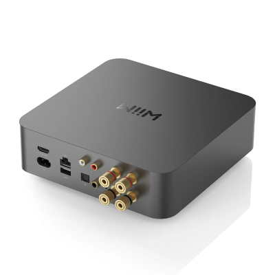 Wiim AMP PRO Wiim AMP PRO