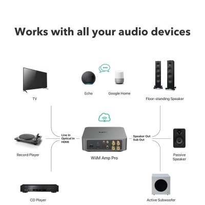 Wiim AMP PRO Wiim AMP PRO