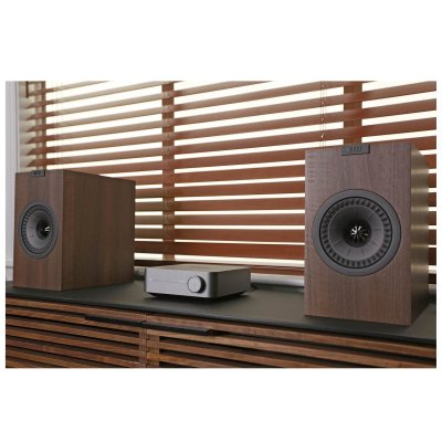 Wiim AMP PRO Wiim AMP PRO