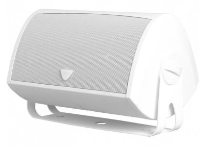 Definitive Technology AW 6500 Loudspeaker