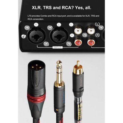 Topping L70 Full Balanced NFCA Headphone Amplifier