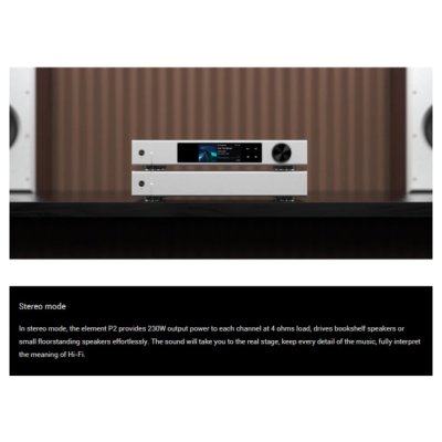 Matrix Audio Element P2 Power Amplifier คลาส D สำหรับเครื่องเสียง