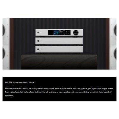 Matrix Audio Element P2 Power Amplifier คลาส D สำหรับเครื่องเสียง