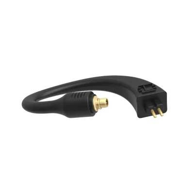 iFi GO pod EarLoop (Pentagon)