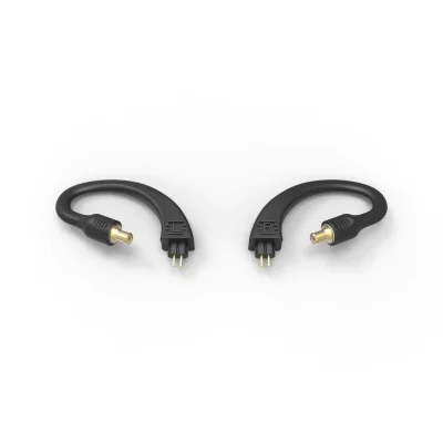 iFi GO pod EarLoop (Pentagon)