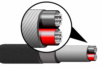 Ifi 4.4mm to XLR / Balanced cable SE (Standard edition)