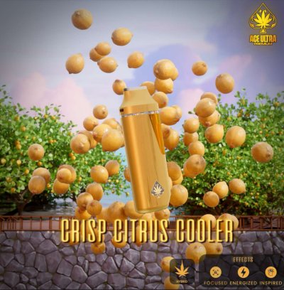 CRISP CHAUS COLER | HYBRID