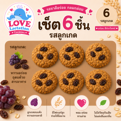 Love คุกกี้เพิ่มน้ำนม คุกกี้นมล้น คุกกี้แม่ให้นม Love Lactation cookies