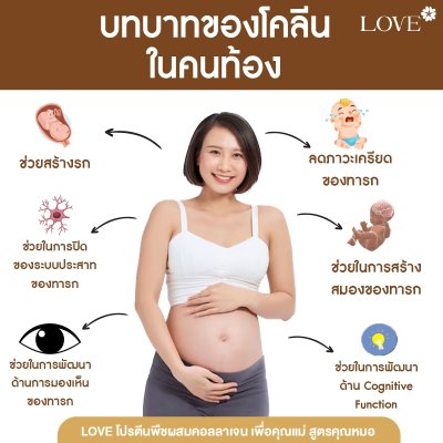 โปรตีนสูตรเพิ่มน้ำนมแม่ "Flow of Love" รส ช็อกโกแลต (Chocolate)
