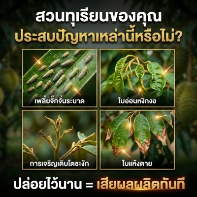 บิวทาเร็กซ์แม็กซ์ กำจัดเพลี้ย แมลงปากดูด