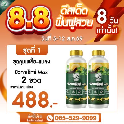 โปรชุดที่ 1
