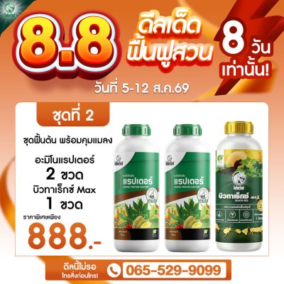 โปร 8.8 ชุดฟื้นต้นพร้อมดูแลแมลง อะมิโนแรปเตอร์ 2 ขวด + บิวทาเร็กซ์ MAX 1 ขวด