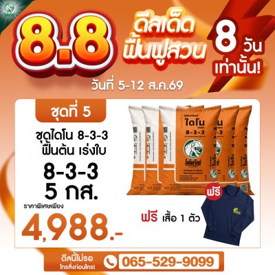 โปร 8.8 ชุดไดโน 8-3-3 จำนวน 5 กระสอบ ฟรีเสื้อไดโนเร็กซ์ 1 ตัว