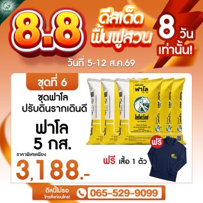 ฟื้นดิน ราก ปุ๋ยอินทรีย์ฟาโล
