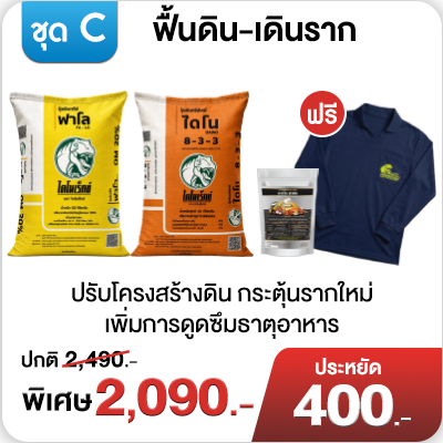 ชุด C ฟื้นดิน-เดินราก