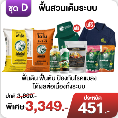 ชุด D ฟื้นสวนเต็มระบบ