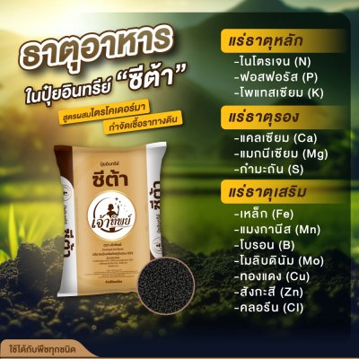 ปุ๋ยอินทรีย์ชนิดเม็ด ซีต้า ตราเจ้าทิพย์ 50 กิโลกรัม