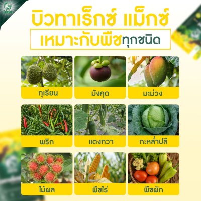 บิวทาเร็กซ์แม็กซ์ 500 กรัม