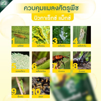 บิวทาเร็กซ์แม็กซ์ 500 กรัม