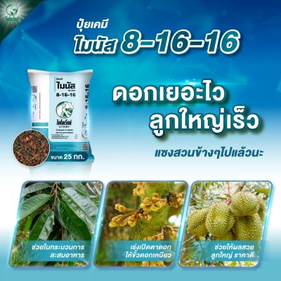 ปุ๋ยเคมี ไมนัส 8-16-16 ตราไดโนเร็กซ์ ขนาด 25 กิโลกรัม ปุ๋ยเคมี ไมนัส 8-16-16 ตราไดโนเร็กซ์ ขนาด 25 กิโลกรัม