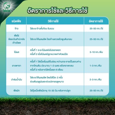 ปุ๋ยเคมี ไมนัส 8-16-16 ตราไดโนเร็กซ์ ขนาด 25 กิโลกรัม ปุ๋ยเคมี ไมนัส 8-16-16 ตราไดโนเร็กซ์ ขนาด 25 กิโลกรัม