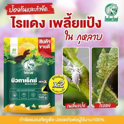 บิวทาเร็กซ์แม็กซ์ 500 กรัม