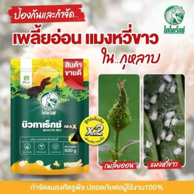 บิวทาเร็กซ์แม็กซ์ 500 กรัม