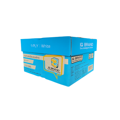 กระดาษต่อเนื่องเคมีขาว 1 ชั้น 9x11 นิ้ว / IQ Brand 60g 2000 ชุด