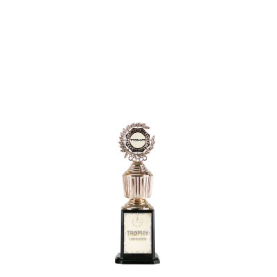 โล่รางวัล อะคริลิค ผลิตตามแบบ