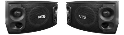 NTS OK-105 10" Karaoke Loudspeaker