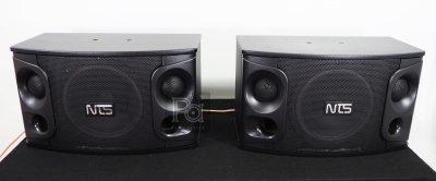 NTS OK-105 10" Karaoke Loudspeaker