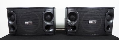 NTS OK-105 10" Karaoke Loudspeaker