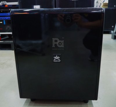 PROEURO TECH ACTIVE-153SW 15 นิ้ว Powered SubWoofer