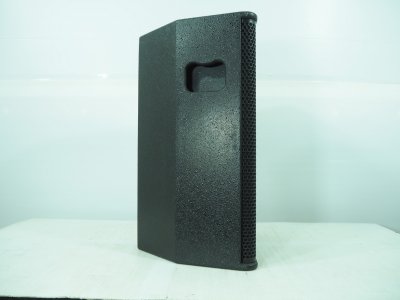 PROEURO TECH PS-10R2 Professional 10'' 2 Way Speaker
