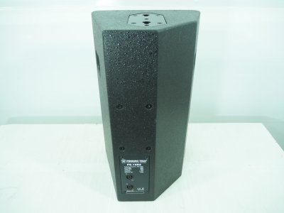 PROEURO TECH PS-10R2 Professional 10'' 2 Way Speaker