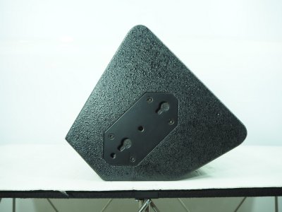 PROEURO TECH PS-10R2 Professional 10'' 2 Way Speaker