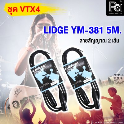 ชุดเครื่องเสียง VTX - 4