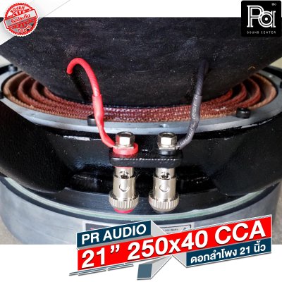 PR AUDIO ดอก 21" 40x250 CCA โครงหล่อ 8 โอม