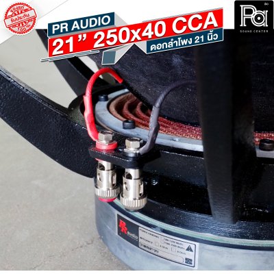 PR AUDIO ดอก 21" 40x250 CCA โครงหล่อ 8 โอม