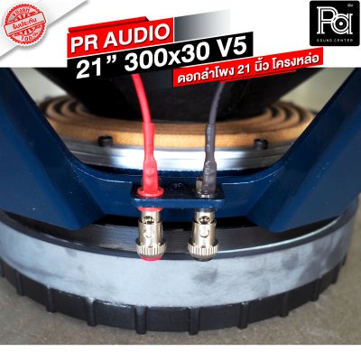 PR AUDIO ดอก 21" 30x300 V5 โครงหล่อ 8 โอม