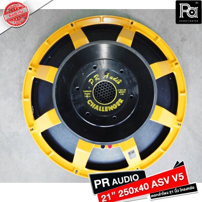 PR AUDIO ดอก 21" 40x250 ASV V5 โครงหล่อ 8 โอม