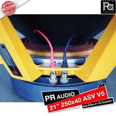 PR AUDIO ดอก 21" 40x250 ASV V5 โครงหล่อ 8 โอม