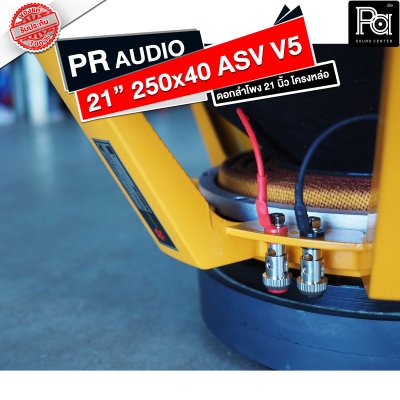 PR AUDIO ดอก 21" 40x250 ASV V5 โครงหล่อ 8 โอม