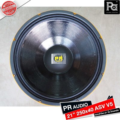 PR AUDIO ดอก 21" 40x250 ASV V5 โครงหล่อ 8 โอม